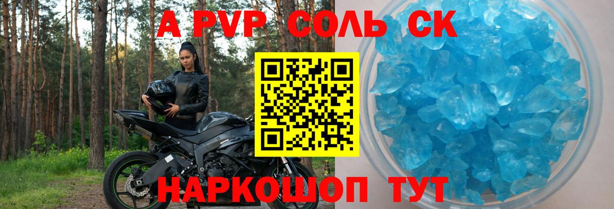 A-PVP СК Выборг