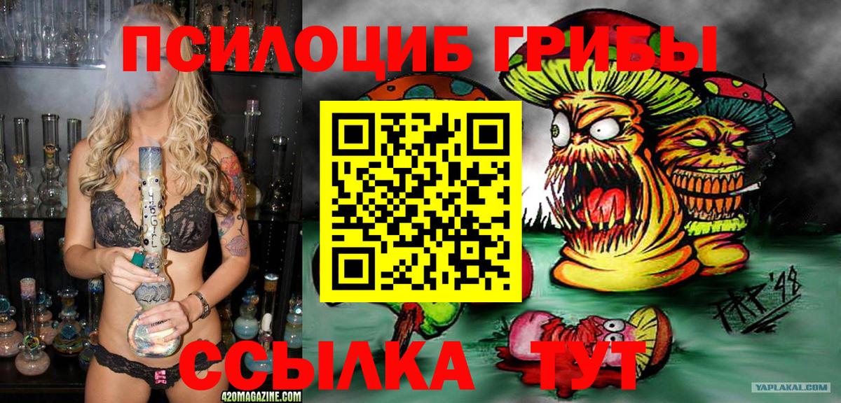 Выборг  купить   Вход с VPN  Псилоцибиновые грибы Psilocybine cubensis 