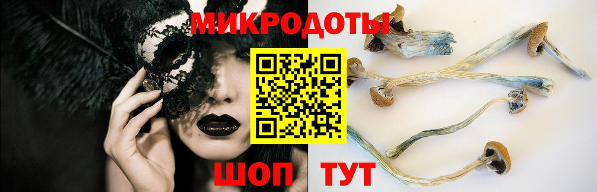 Галлюциногенные грибы GOLDEN TEACHER Выборг