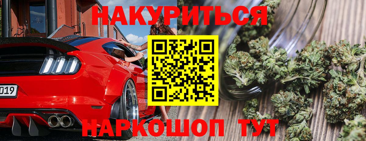 Бошки марихуана сатива Выборг